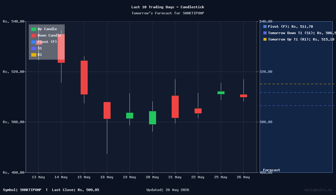 Tomorrow's Price prediction review image for SHAKTIPUMP
