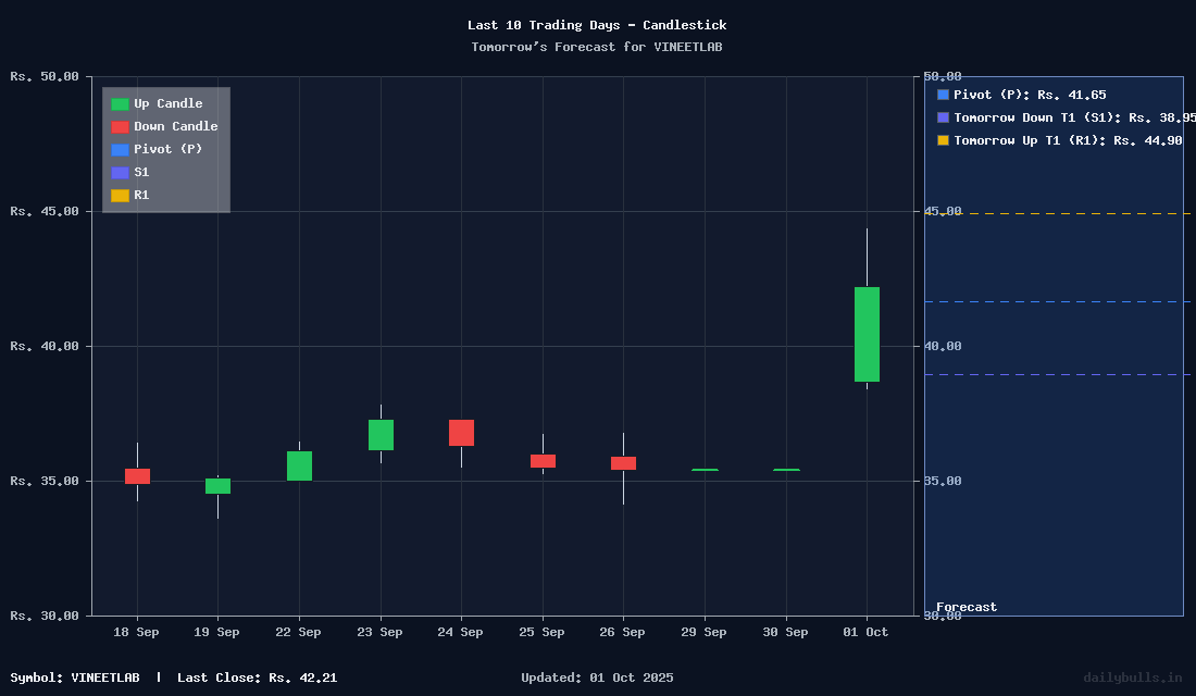 Tomorrow's Price prediction review image for VINEETLAB