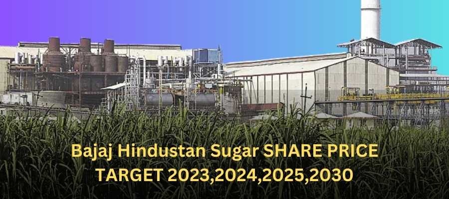 bajaj hindusthan sugar share price target