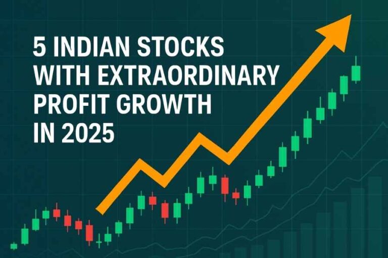 5 Indian Stocks with Extraordinary Profit Growth in 2025